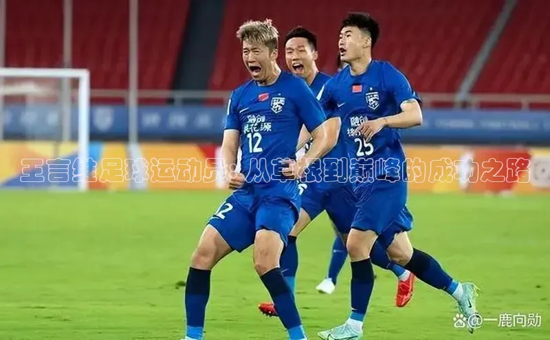 星空体育网页版登录入口ARGA公司王言维足球运动员: 从草根到巅峰的成功之路