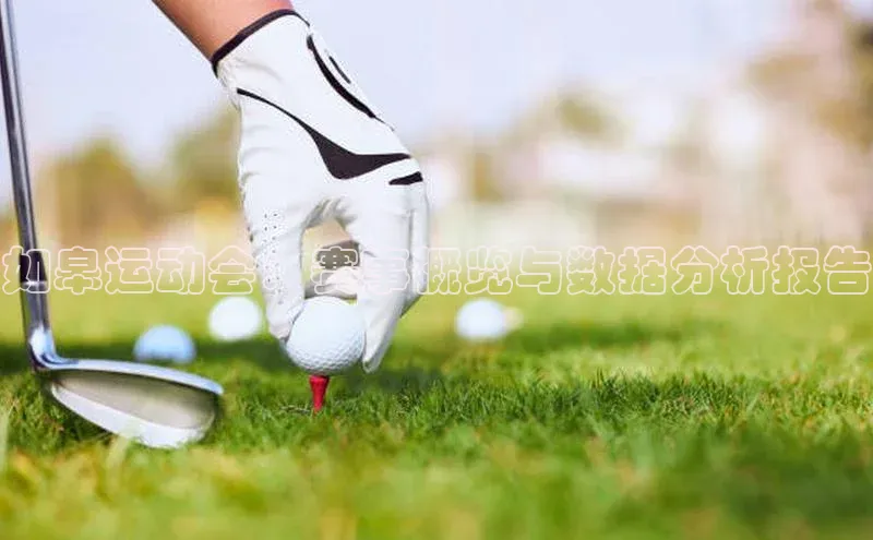 如皋运动会：赛事概览与数据分析报告