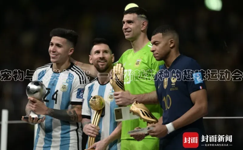 宠物与人类共舞：一场跨越物种的趣味运动会