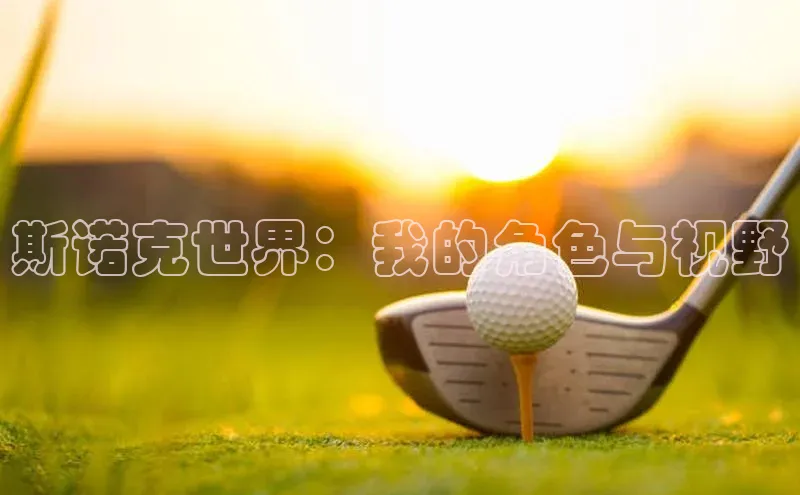 斯诺克世界：我的角色与视野