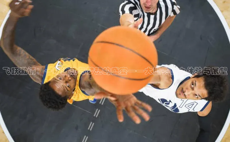 飞跃激情：一场运动与梦想的盛宴——大型赛事之体验与展望