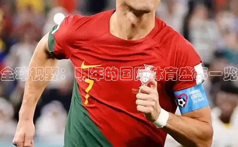 全球视野：明年的国际体育盛事一览