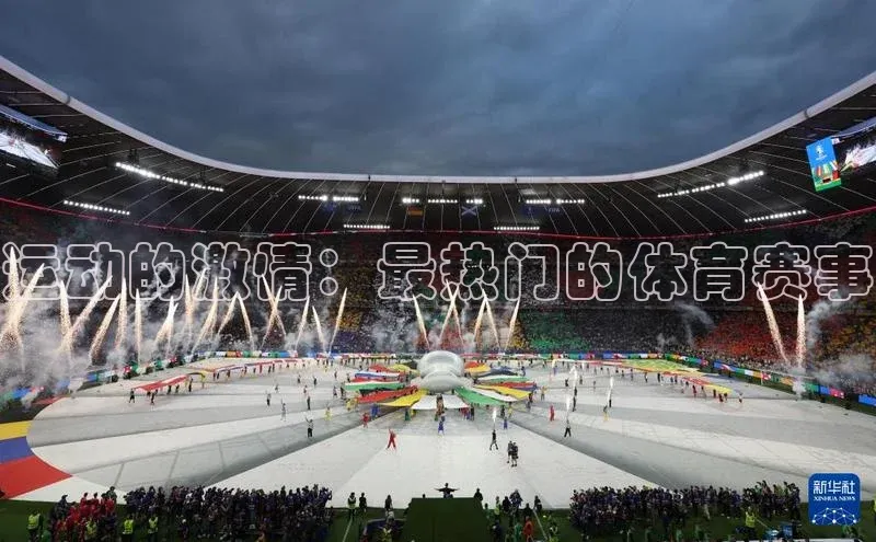 运动的激情：最热门的体育赛事