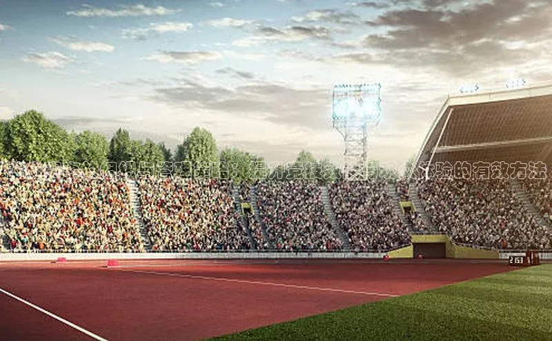 龙舟赛事的组织与管理策略：提升竞技效能与观众体验的有效方法