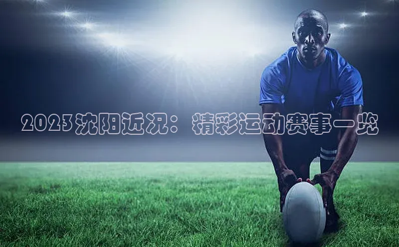 2023沈阳近况：精彩运动赛事一览