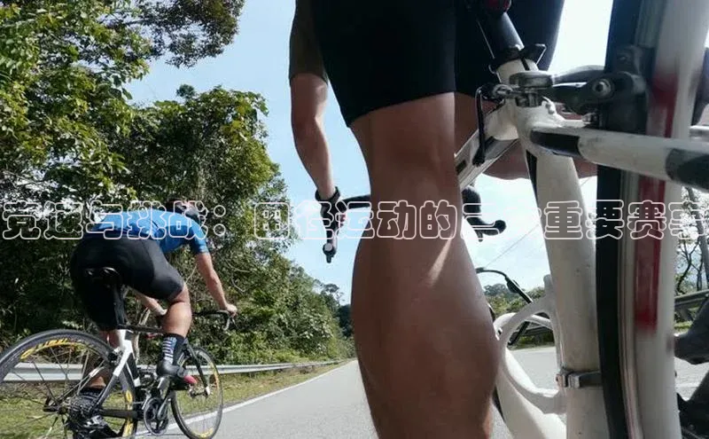 星空体育综合中国官网