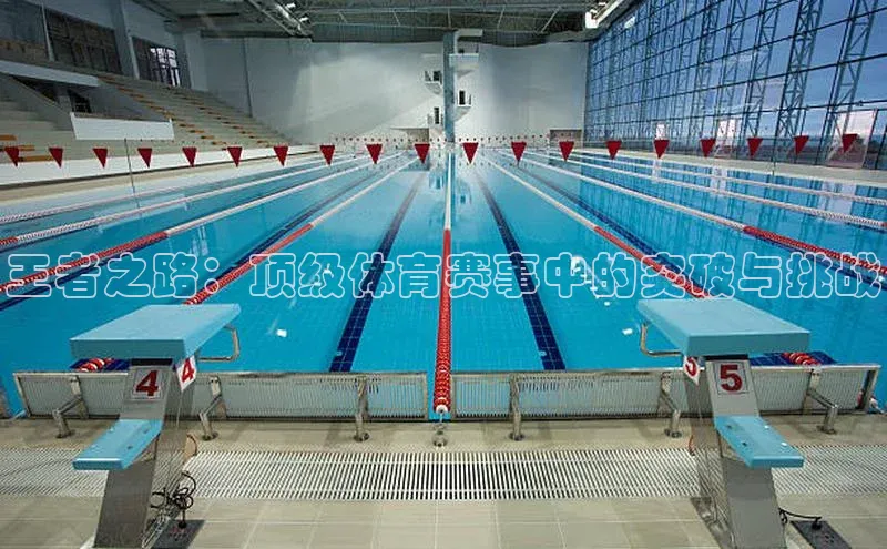 星空综合(中国)官方网站官网